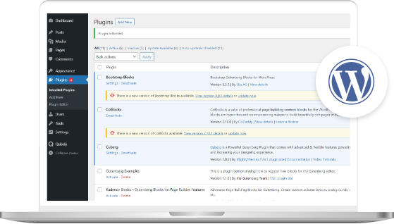 WordPress-Plugin-Development-Services-img2